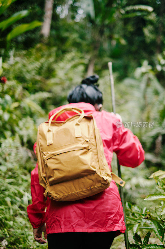 Portrait of Asian Women Exploring The Jungle - From Back